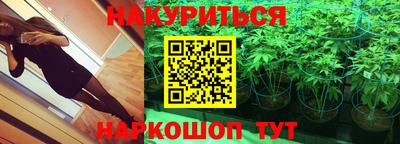 сатива Обь