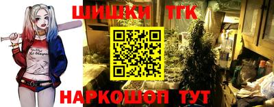 гидропоника Новодвинск