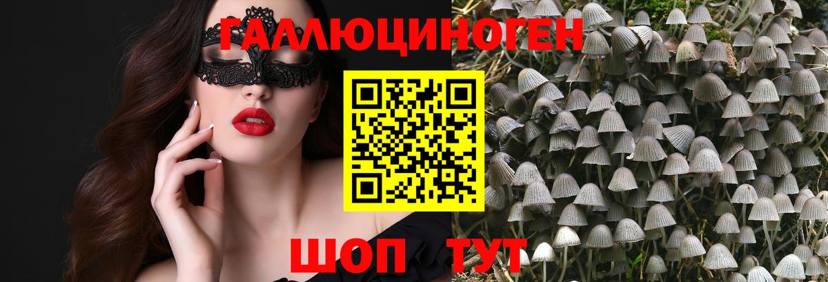Псилоцибиновые грибы мицелий  Вход с VPN  Сафоново 